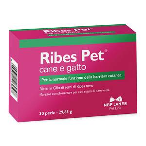 Ribes PET perle
