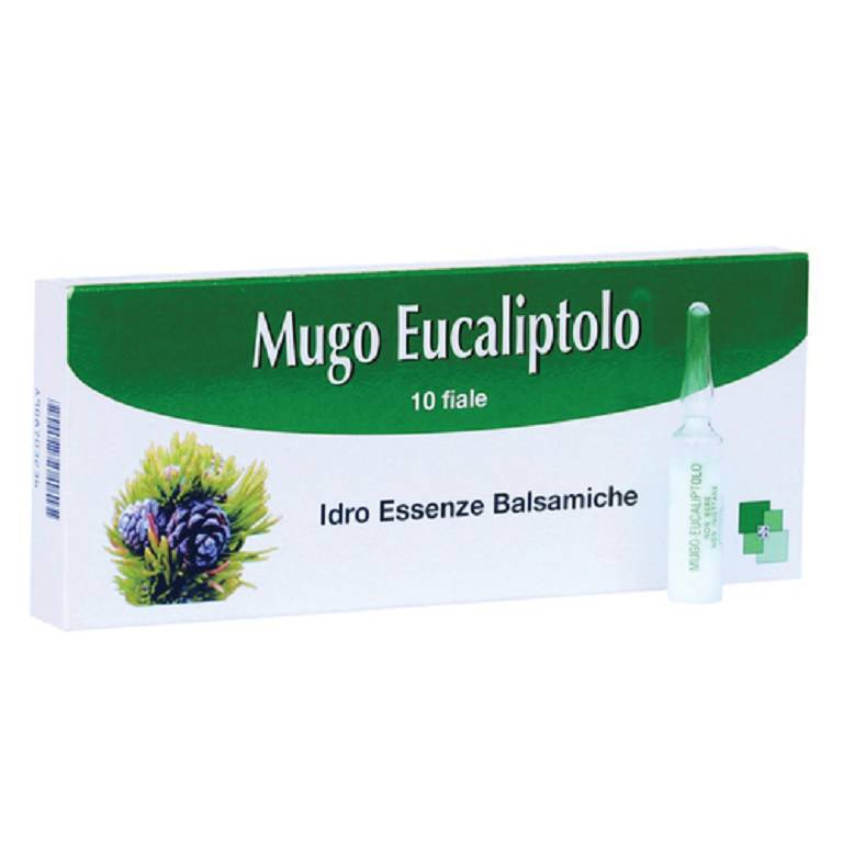 MUGO EUCALIPTOLO 10F